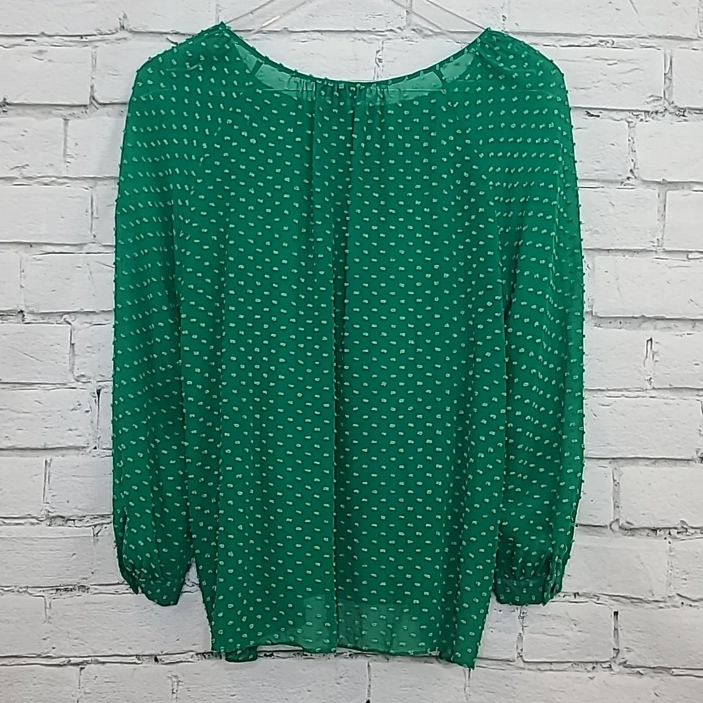 J Crew Flowy Sheer Silk Chiffon Long Sleeve Dot Blouse in Green - Picture 8 of 17